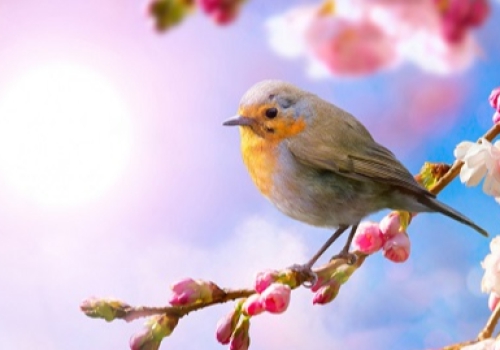 Em gửi nụ cười trong gió xuân