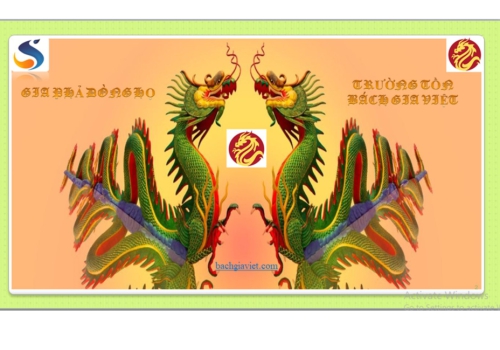 GIỚI THIỆU VỀ TÍNH NĂNG BÁCH GIA VIỆT