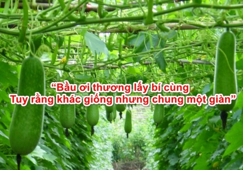 VAI TRÒ CỦA DÒNG HỌ ĐỐI VỚI DÂN TỘC, QUỐC GIA