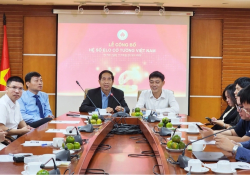 Giải cờ tướng Doanh nhân được tính xếp hạng Elo