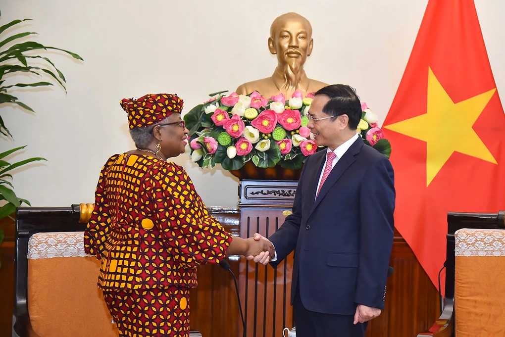 WTO ấn tượng trước thành tựu phát triển kinh tế - xã hội của Việt Nam