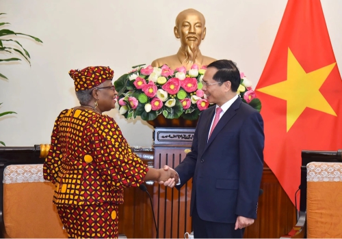 WTO ấn tượng trước thành tựu phát triển kinh tế - xã hội của Việt Nam